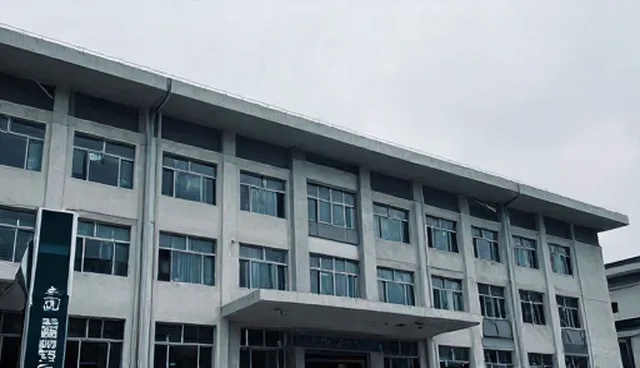 技术型企业选型关注点：管理挑战与适用限制
